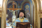 «Ευαγγελίστρια 2019»: Αρχιμανδρίτης Διονύσιος Κατερίνας