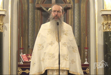 «Ευαγγελίστρια 2026» π. Νεκτάριος Τσεκούρας: Η υπακοή της Παναγίας θεράπευσε τις παρακοές του ανθρωπίνου γένους